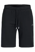 Jack Jones Gordon Regular Fit Erkek Şort 12289726 thumbnail 1