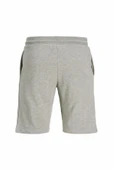 Jack Jones Gordon Archive Regular Fit Erkek Şort 12288638 thumbnail 5