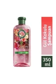 Herbal Essences Şampuan Rose Soft 350 ml thumbnail 2
