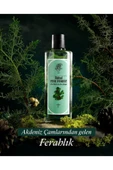 3 ADET Rebul Kolonya Pine 250 ml thumbnail 2
