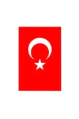 4 ADET   Türk Bayrak 30X45 thumbnail 2