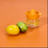 Fresia Desenli Limonluk - Asorti - 300 ml thumbnail 2