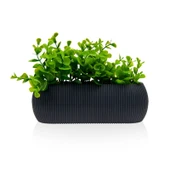 Coral Oval Saksı - 0,55 lt - Asorti thumbnail 1