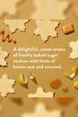 Native Sugar Cookie Alüminyumsuz Stick Deodorant 75GR thumbnail 3