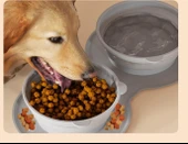 Mikopet Katlanabilir İkili Mama ve Su Kabı thumbnail 2