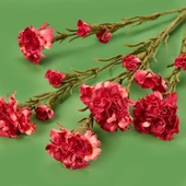Deco Kranfil Dal Çiçek - Kırmızı - 68 cm thumbnail 3