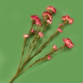 Deco Kranfil Dal Çiçek - Kırmızı - 68 cm thumbnail 2