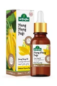 Ylang Ylang Yağı 20ml thumbnail 1