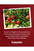 %100 Sıkma Nar Suyu (12x250ml) thumbnail 4