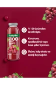 %100 Sıkma Üzüm Suyu (4x250ml) thumbnail 3