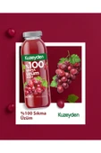 %100 Sıkma Üzüm Suyu (6x250ml) thumbnail 2