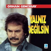 Orhan Gencebay Yalnız Değilsin - Plak thumbnail 1