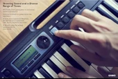 Casio Casiotone Ct-S300C2 61 Tuşlu Org, Siyah thumbnail 2