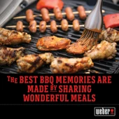 Weber 6469 Original Rib And Roast Holder thumbnail 5
