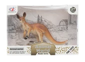 Kutulu Model Figür Hayvan Kanguru thumbnail 1
