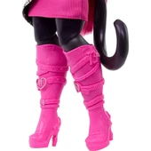 Monster High Acayip Havalı Arkadaşlar Catty Noir thumbnail 4