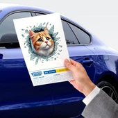 Fulcar Sarman Araç Stickerı thumbnail 2