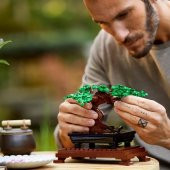LEGO Creator Expert 10281 Bonsai Tree thumbnail 7