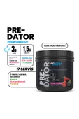 Bigjoy Predator Orman Meyveli 289g thumbnail 2