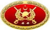 TSK Metal Bröve Çeşitleri. thumbnail 5
