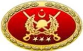 TSK Metal Bröve Çeşitleri. thumbnail 6