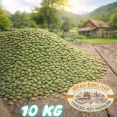 Yeşil Mecimek Net 10 Kg thumbnail 1