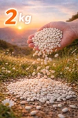 Kuru Fasulye 2 Kg thumbnail 1