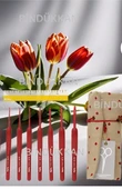 Tulip Etimo Red Kırmızı Tığ Seti thumbnail 4