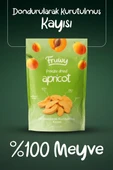 Freeze Dried Kayısı thumbnail 2