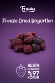 Freeze Dried Böğürtlen thumbnail 5