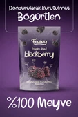 Freeze Dried Böğürtlen thumbnail 2
