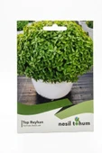 Top Reyhan Tohumu thumbnail 2