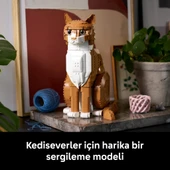 LEGO 21376  Ideas Turuncu Kedi thumbnail 10