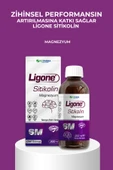 LİGONE Sitikolin Şurup 200 ml Aromasız thumbnail 2