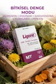 LİGONE Milk Thistle 60 Kapsül thumbnail 3