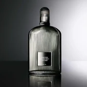 Tom Ford Eau De Grey Vetiver Edt 100 ml thumbnail 1