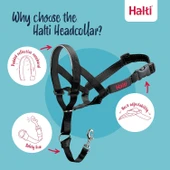 Halti Headcollar, Siyah, Boyut 1 thumbnail 1