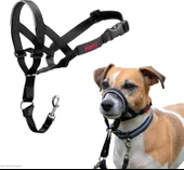 Halti Headcollar, Siyah, Boyut 1 thumbnail 2