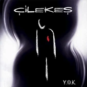 Çilekeş Y.O.K. LP Plak thumbnail 1