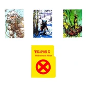 Wolverine Sabretooth'a Karşı thumbnail 3