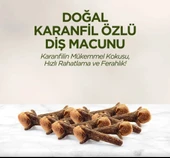 Doğal Diş Macunu 90 Gr Karanfil thumbnail 4