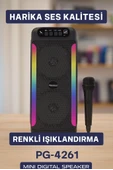 Pg4261 Hoparlör thumbnail 2
