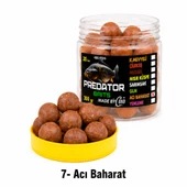 Predator Baits Kancalık Boili 300 gr 20 mm thumbnail 2