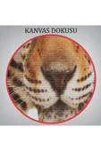 Trezon Vahşi Leopar Tablosu-5957 thumbnail 5