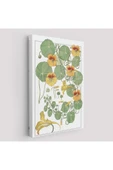 Trezon Nasturtium Çiçeği Kanvas Tablo-5206 thumbnail 1