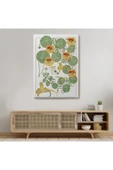 Trezon Nasturtium Çiçeği Kanvas Tablo-5206 thumbnail 7