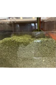 ZADE1937 Kuru Nane 1 KG thumbnail 3
