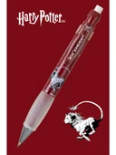 SERVE VERSATIL DEEP 07 HARRY POTTER GRYFFINDOR thumbnail 5