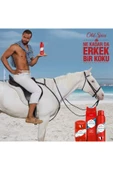 Old Spice Deo Stick 50 Ml Wolfthorn X 4 Adet thumbnail 4