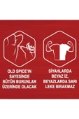 Old Spice Deo Stick 50 Ml Wolfthorn X 4 Adet thumbnail 5